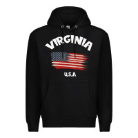 Black VIRGINIA U.S.A Premium Hoodie - Bettercallsaul