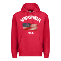 Cardinal VIRGINIA U.S.A Premium Hoodie - Bettercallsaul