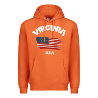 Carrot VIRGINIA U.S.A Premium Hoodie - Bettercallsaul