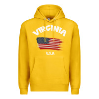 Lemon VIRGINIA U.S.A Premium Hoodie - Bettercallsaul