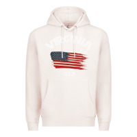 Pale Pink VIRGINIA U.S.A Premium Hoodie - Bettercallsaul