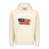 Sandshell VIRGINIA U.S.A Premium Hoodie - Bettercallsaul