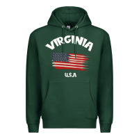 Sports Green VIRGINIA U.S.A Premium Hoodie - Bettercallsaul