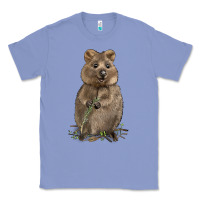 Colony Blue Quokka Classic Tee - LillyAllenDesigns