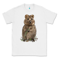 White Quokka Classic Tee - LillyAllenDesigns