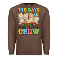 Chestnut 100 days watching my students grow Premium Sweatshirt - Artiststas