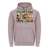 Vintage Zinc i am just here for field day  2023 Vintage Hoodie - AdoDesignShop