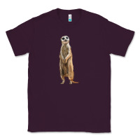 Plum Meerkat Classic Tee - LillyAllenDesigns