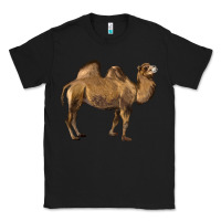 Black Camel Classic Tee - LillyAllenDesigns