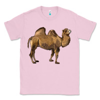 Bubblegum Pink Camel Classic Tee - LillyAllenDesigns