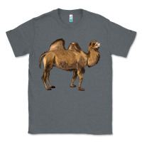 Charcoal Heather Camel Classic Tee - LillyAllenDesigns