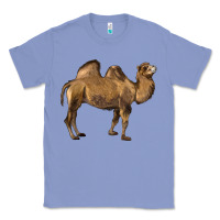 Colony Blue Camel Classic Tee - LillyAllenDesigns