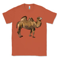 Copper Camel Classic Tee - LillyAllenDesigns