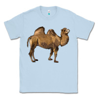Dusty Blue Camel Classic Tee - LillyAllenDesigns