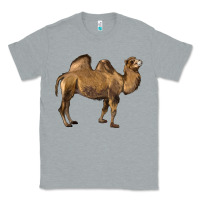 Heather Grey Camel Classic Tee - LillyAllenDesigns