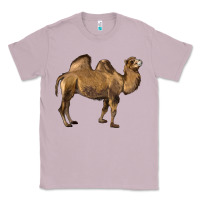 Lilac Camel Classic Tee - LillyAllenDesigns
