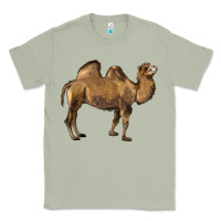 Matcha Camel Classic Tee - LillyAllenDesigns