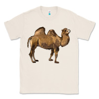 Natural Camel Classic Tee - LillyAllenDesigns
