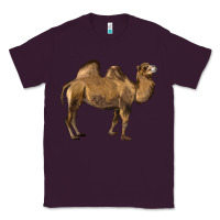 Plum Camel Classic Tee - LillyAllenDesigns