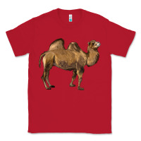 Red Camel Classic Tee - LillyAllenDesigns