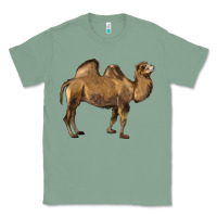 Sage Camel Classic Tee - LillyAllenDesigns