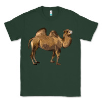 Sports Green Camel Classic Tee - LillyAllenDesigns