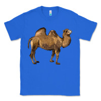True Royal Camel Classic Tee - LillyAllenDesigns