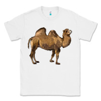 White Camel Classic Tee - LillyAllenDesigns