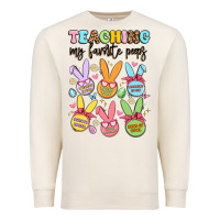 Sandshell teaching my favorite peeps Premium Sweatshirt - Artiststas