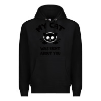 Black My Cat Was Right About You Premium Hoodie - Bettercallsaul