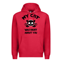 Cardinal My Cat Was Right About You Premium Hoodie - Bettercallsaul