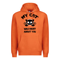 Carrot My Cat Was Right About You Premium Hoodie - Bettercallsaul