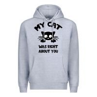 Heather Grey My Cat Was Right About You Premium Hoodie - Bettercallsaul
