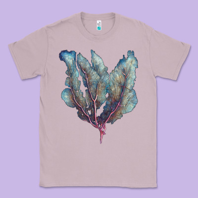 Venus Fan Sea Coral Classic Tee Designed By Lillyallendesigns