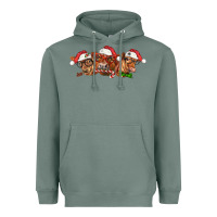 Sage christmas red angus cows Heavyweight Hoodie - LillyAllenDesigns