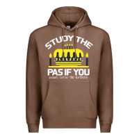 Chestnut Study the past if you would define the future shi Premium Hoodie - Bettercallsaul