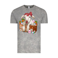 Cloud Rock easter lamb Vintage Tee - Jasminsmagicworld