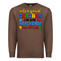Chestnut only a special teacher can hear what a child can n Premium Sweatshirt - Artiststas