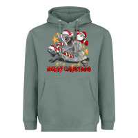 Sage Merry Christmas Tortoise And Koala Heavyweight Hoodie - LillyAllenDesigns