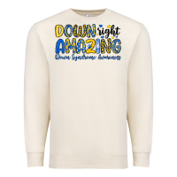 Down Right Amazing Down Syndrome Awareness Premium Sweatshirt | Teevron