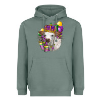 Sage Mardi Gras Longhorn Calf Heavyweight Hoodie - LillyAllenDesigns