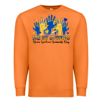 Carrot for my students down syndrome awareness day Premium Sweatshirt - Artiststas