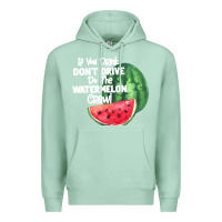 Seafoam Watermelon Crawl Premium Hoodie - Bettercallsaul