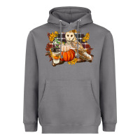 Storm Fall Barn Owl Heavyweight Hoodie - LillyAllenDesigns