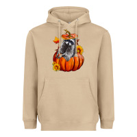Mushroom Fall Pumpkin Raccoon Heavyweight Hoodie - LillyAllenDesigns