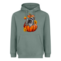 Sage Fall Pumpkin Raccoon Heavyweight Hoodie - LillyAllenDesigns