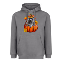 Storm Fall Pumpkin Raccoon Heavyweight Hoodie - LillyAllenDesigns
