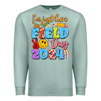 Seafoam im just here for field day 2024 Premium Sweatshirt - Artiststas