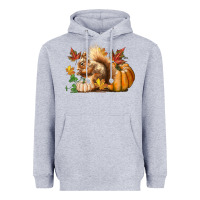 Heather Grey Fall Squirrel Heavyweight Hoodie - LillyAllenDesigns