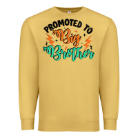 Antique Gold promoted to big brother Premium Sweatshirt - Artiststas